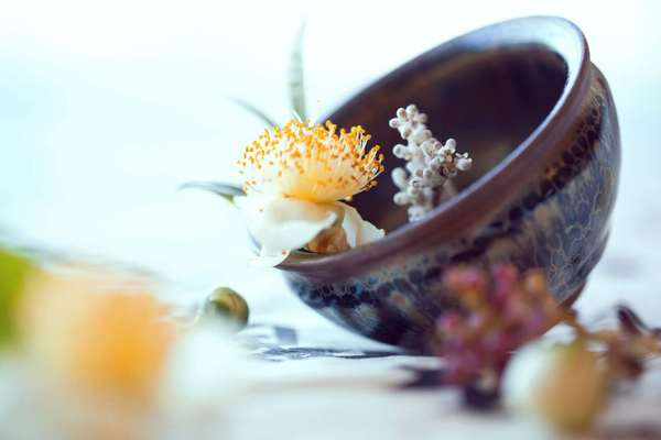 自主創(chuàng)業(yè)項目哪種好 YQ之下凈水行業(yè)商機凸顯