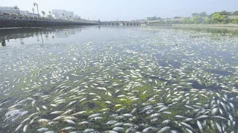 金利源,金利源凈水器,凈水器品牌,家用凈水器品牌,凈水器十大品牌,凈水器代理,凈水器加盟,凈水器廠家,凈水機(jī),家用凈水器