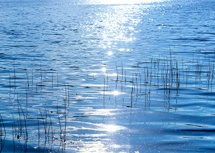 為什么要喝直飲水？我喝自來水、桶裝水、瓶裝水不行嗎？